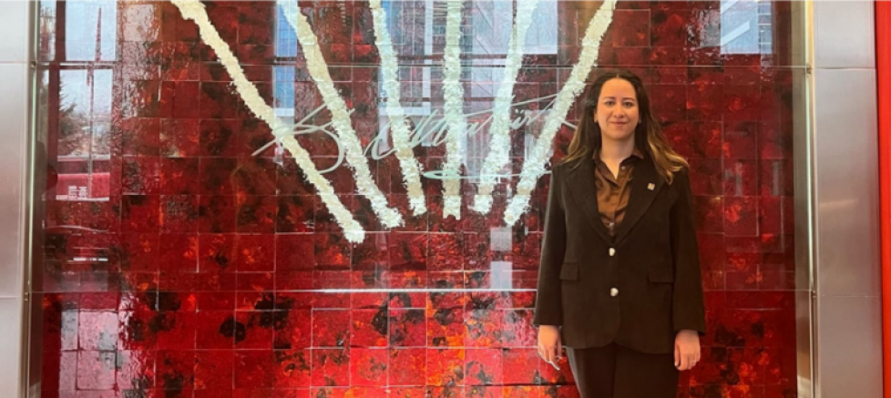 CHP Ankara İl Kadın Kolları Başkanı Ayça Çağlar’dan Yeni Yıl Mesajı: “Umudu Büyüteceğiz, Her Şey Çok Güzel Olacak”