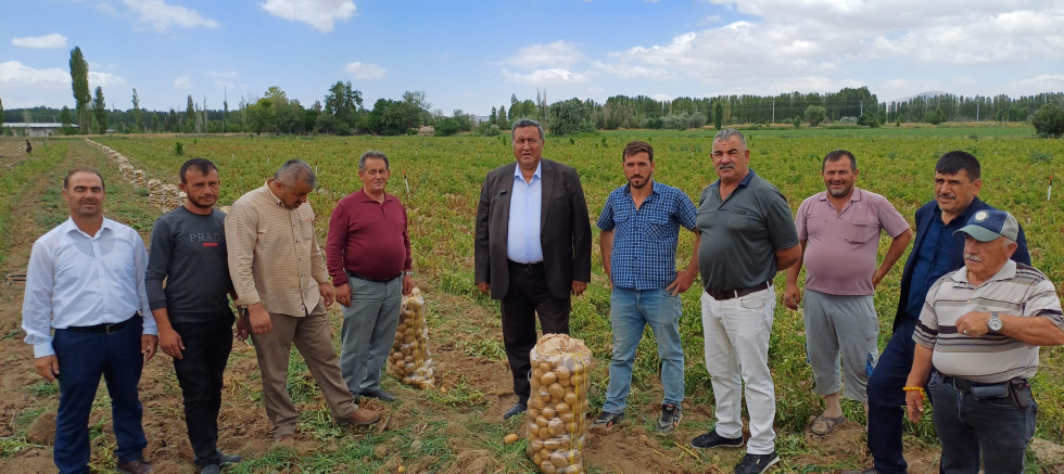 Patates üreticisinin dramı: Tarlada 4 lira, market rafında 20 lira
