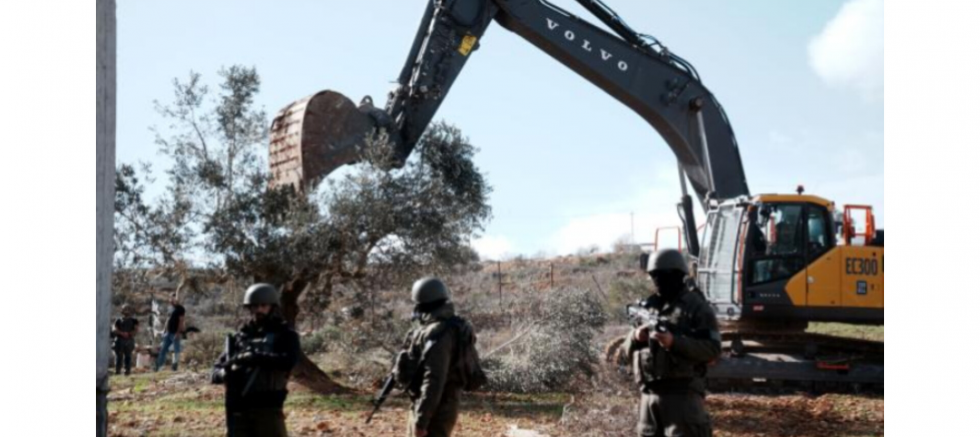 Rıdvan Eşin: Filistin’in Zeytin Ağaçlarına Yönelik Saldırılar İnsanlık Vicdanına Yapılmıştır