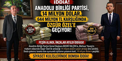 ANADOLU BİRLİĞİ PARTİSİ’NDE DEPREM! TOPLU İSTİFALAR PEŞ PEŞE GELDİ