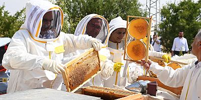 ARILI KOVAN DESTEĞİ PROJESİ’NDE İLK HASAT YAPILDI  