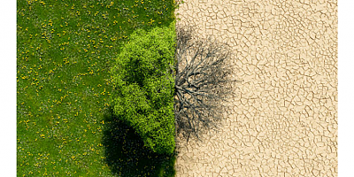 “Artık kuraklıkla yüzleşmeliyiz”