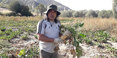 AYDOĞMUŞ; “ÇİFTÇİNİN ALIN TERİNİ, EMEĞİNİ ÇALMAYIN!”