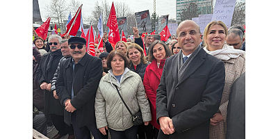 AYSEL DÖNER: 
