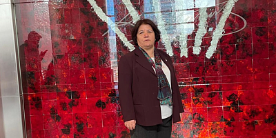 AYSEL DÖNER: 