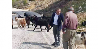 Başkan Adayı Ali Kartal, Kapsamlı Hayvancılık Projelerini Açıkladı