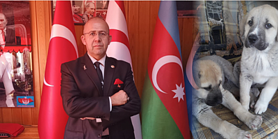 BAŞKAN AŞKAR: HAYVANLARA SAHİP ÇIKMAK BİZİM ASLİ GÖREVİMİZDİR!