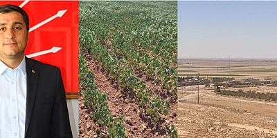 BAŞKAN KARADAĞ: ÇİFTÇİLER MAĞDUR EVLER BÜYÜK ZARAR GÖRDÜ!