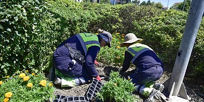 BAŞKENT YAZ ÇİÇEKLERİYLE RENKLENİYOR