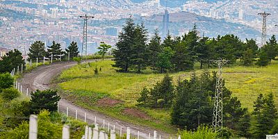 BAŞKENTLİLERE NEFES: ANKARA BÜYÜKŞEHİR BELEDİYESİ HACIKADIN KENT ORMANI’NI YENİLEDİ