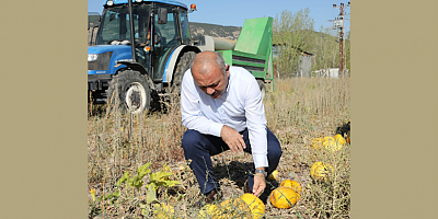 Çankırı Belediyesi Üretmeye Doymuyor
