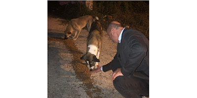 CHP BAŞAKŞEHİR İLÇE BAŞKANI BEYZADE KAYABAŞI’NDAN YENİ YASA ELEŞTİRİSİ
