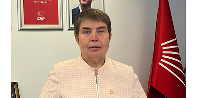 CHP Genel Başkan Yardımcısı Dr. Zeliha Aksaz Şahbaz Gazeteci Naime Akbin’e Konuştu.!