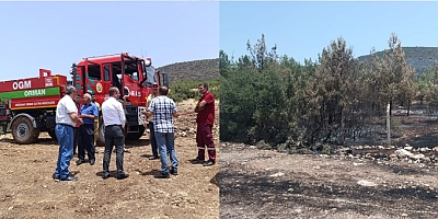 CHP’li Ateş, Pazarcık’ta yanan alanları ziyaret etti