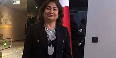 CHP'Lİ DEMİRAĞ'DAN 30 AĞUSTOS ZAFER BAYRAMI MESAJI!