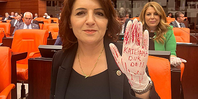 CHP’li Gülcan Kış, sokak hayvanlarıyla ilgili teklifin tüm itirazlara rağmen yasalaşmasına böyle tepki gösterdi “Bu kanunun sonucu katliamdır”