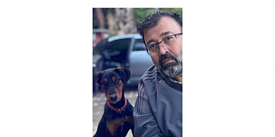 CHP’li Yılmaz, sahipsiz hayvanlarla ilgili sunulan teklifi eleştirdi