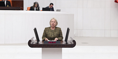 CHP’li Yontar, Atatürk düşmanına Meclis’te tepki gösterdi