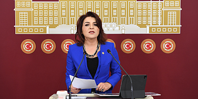 CHP Mersin Milletvekili Gülcan Kış’tan Sert Uyarı: “AKP’nin Sit Alanlarını İmara Açmasına Burada İzin Vermeyeceğiz! 