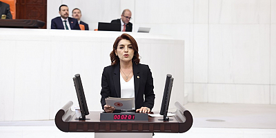 CHP Mersin Milletvekili Gülcan KIŞ; Vatandaş Borç Batağında, Bakan Şimşek Hayal Aleminde! 