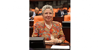 CHP Tekirdağ Milletvekili Nurten Yontar: 