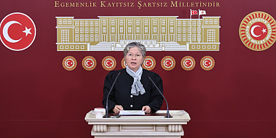 CHP Tekirdağ Milletvekili ve TBMM Katip Üyesi Nurten Yontar: “Tekirdağ’ın Deprem, Çevre ve Su Krizi Görmezden Gelinemez”
