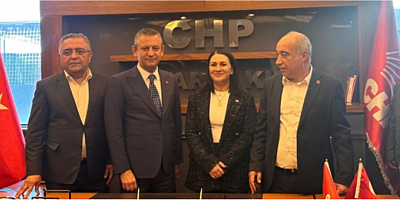 Çiğdem Özturan Kurt: 