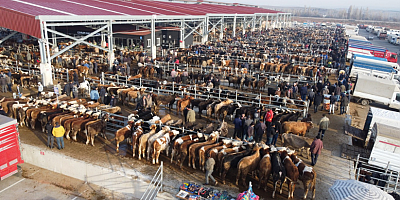 Çorum'da hayvan pazarı geçici olarak kapatıldı
