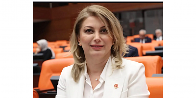 DİYARBAKIR İL BAŞKANI İSMAİL AKYIL: “ASU KAYA YALNIZ DEĞİLDİR, CİNSİYETÇİ SİYASETE GEÇİT VERMEYECEĞİZ”