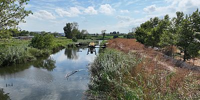 Drone ile sinek avı