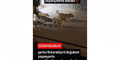 Ferhat Karadağ: “Yaşam Parkı’nda Vatandaşların Can Güvenliği Sağlanmalıdır”