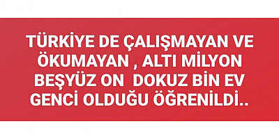 Gülbahar Tahmilci: 6 Milyondan Fazla Gencin Eğitim Ve İstihdam Dışında Kalması Alarm Veriyor