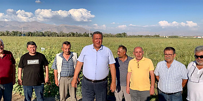 Gürer: “Domates üreticileri ekonomik çöküş yaşıyor”