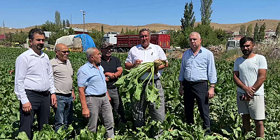 Gürer: “Kampanyaya bir ay kaldı. Fiyat belirsiz”