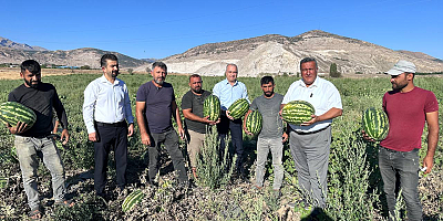 Gürer: “Karpuz tarlada kaldı”
