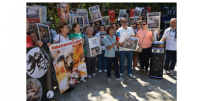 HAKDEM: Manisa’da Toplama Kampları Kuruldu – Bu Ülkede Hayvanlara Yapılan Zulüm, Siyasi Bir Tercihtir!”