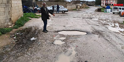 Halil Aslan: Akçakale Belediye Başkanı Ortada Yok Yollar Vatandaşı Çileden Çıkartıyor