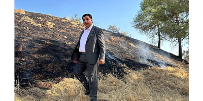 Halil Aslan: Ormanlarımızı Ve Doğamızı Korumak Hepimizin Sorumluluğudur