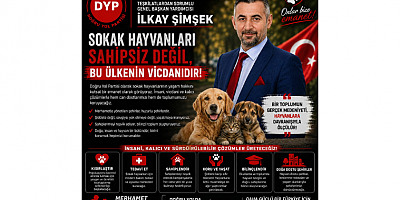 İlkay Şimşek: Sokak Hayvanları Sahipsiz Değil Bu Ülkenin Vicdanıdır