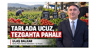 İş İnsanı Ulaş Balkar: Bu Düzen Böyle Gitmez!