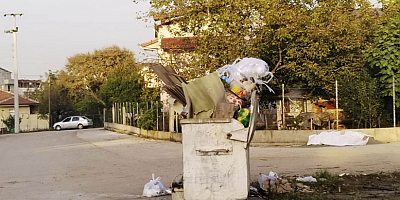 KAMU MALINA ZARAR VERMEK İHANETTİR