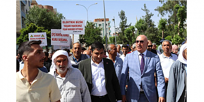 Karadağ'dan AKP ve DEDAŞ Ortaklığına Sert Eleştiri ve Çiftçilere Destek Çağrısı