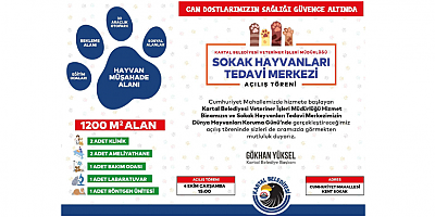 Kartal Belediyesi Sokak Hayvanları Tedavi Merkezi Açılıyor
