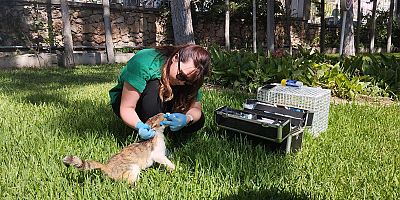 Kepez can dostlarına gözü gibi bakıyor
