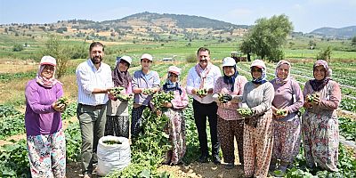 Kornişon Salatası binlerce aileye ekmek kapısı oldu 