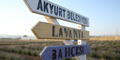 LAVANTA BAHÇESİ MİSAFİRLERİNİ BEKLİYOR