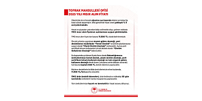 MAHİR SAYIN: MISIR FİYATLARI ÜRETİCİYİ YAŞATMAZ