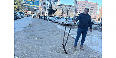 Mehmet Dicle: Mardin Çamura Teslim Edildi Bu Rezaletin Sorumlusu Kim