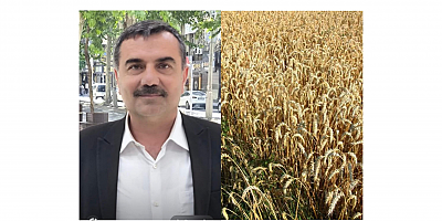 Mevlüt Medeni: “Açıklanan Hububat Fiyatları Çiftçinin Beklentisinin Çok Altında Kaldı”
