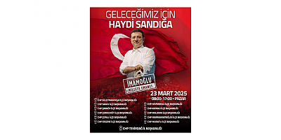 Milletvekili Nurten Yontar: 